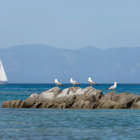 Nuovo Διαμέρισμα *