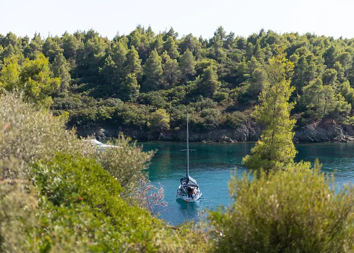 Nuovo * 新马尔马拉斯